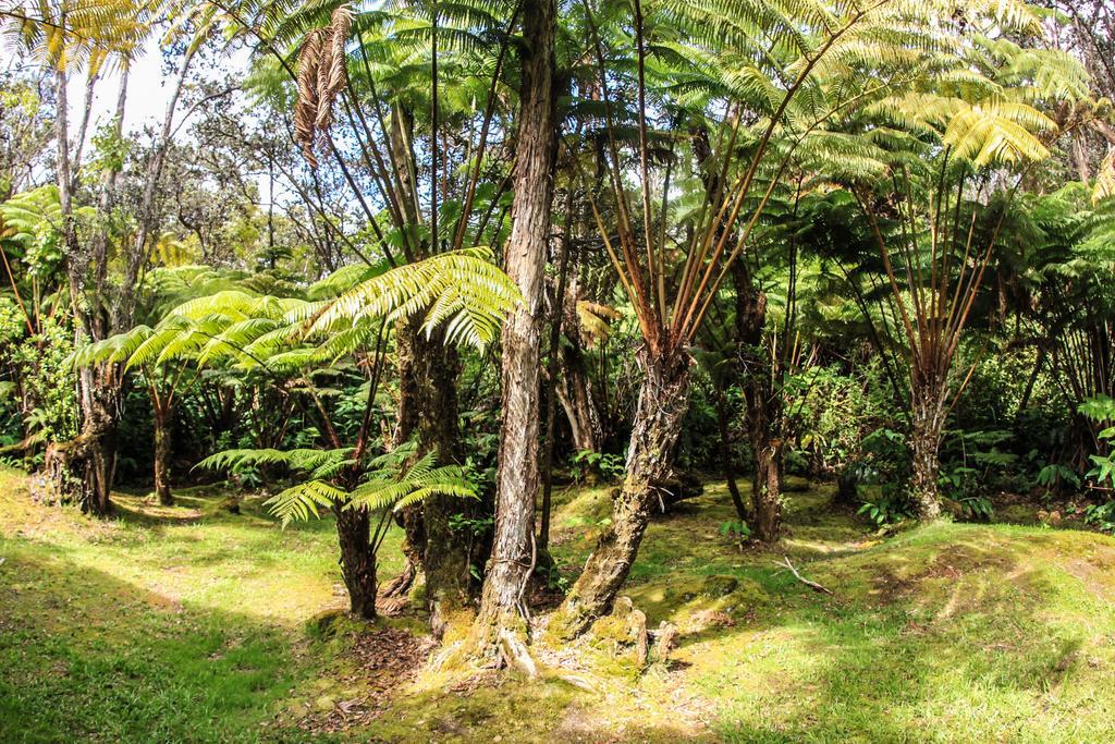 Volcano Village Lodge Rom bilde