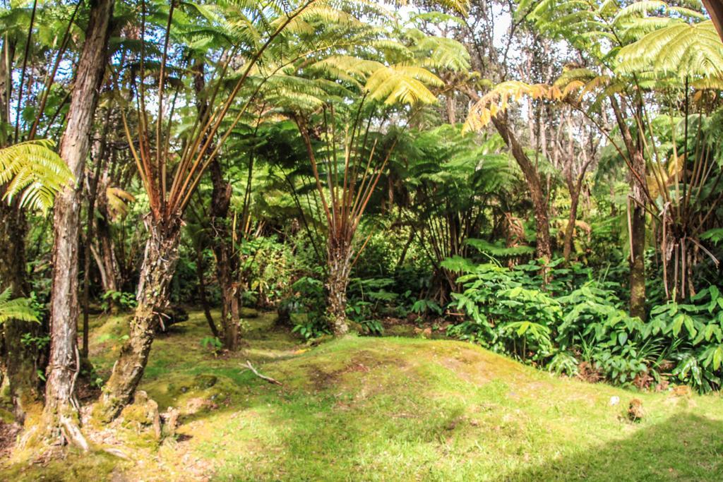 Volcano Village Lodge Rom bilde